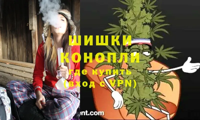 Бошки Шишки SATIVA & INDICA  цена наркотик  Аргун 